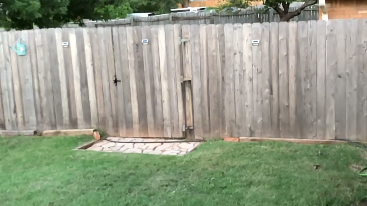 Top gun hummingbird edition!!  Hopefully this slo-mo works. Like & Subscribe!