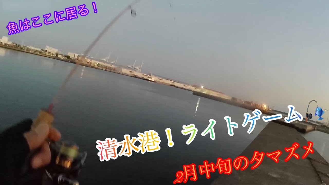【ライトゲーム】過去一の危機‼️超悪状況の清水港で、アタるポイントはここだった‼️💦