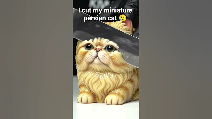 Watch the video about I cut my persian cut #cat #miniature #catlovers