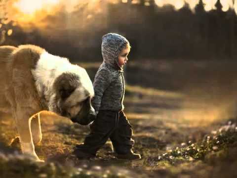 купи ребенку тв монстр хай