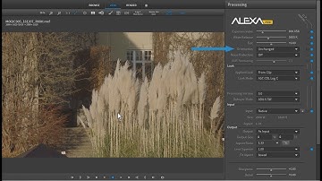 ARRI Tech Tip: ARRIRAW Converter - How to change the image orientation