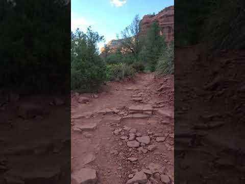 Chow chow walking in Sedona, Arizona portal