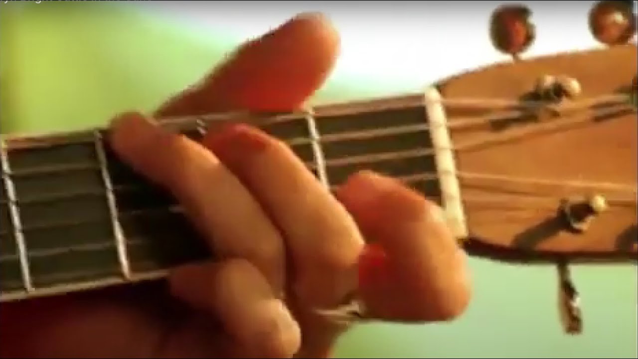 Rice, Rowan, Billy & Bryn Bright Cattle in the Cane