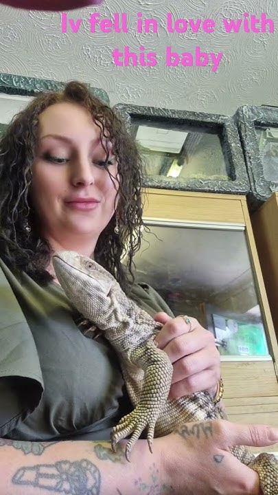 Bosc Monitor Lizard Friendly Baby Lizard Animal Lover reptile bosc-monitor-lizard-friendly-baby-lizard-animal-lover-reptile