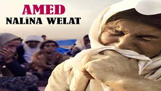 Amed Ka - Evîna Ewilî 