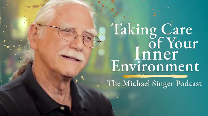 The Michael Singer Podcast:  Taking Care of Your I...
