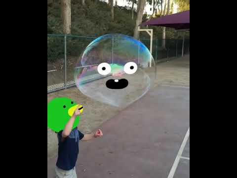 Sean charmatz bubble duck pop - YouTube