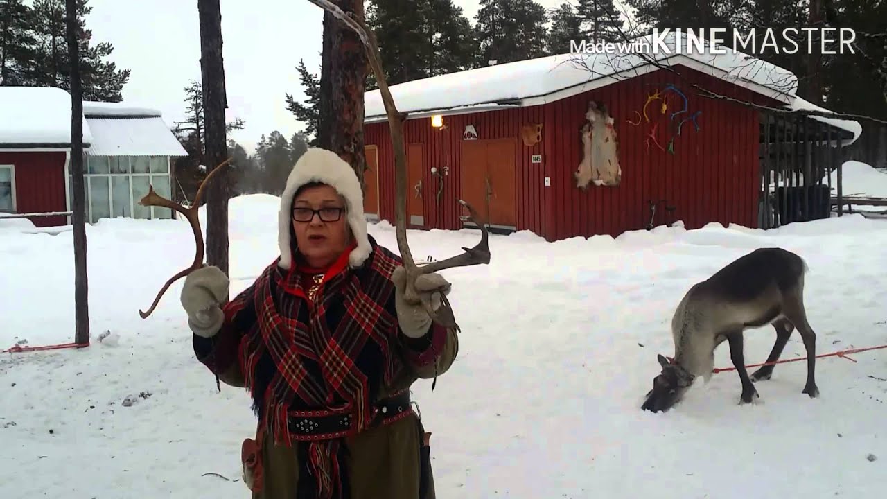 Inari Reindeer Farm - YouTube