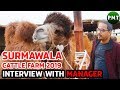 EXCLUSIVE INTERVIEW OF SURMAWALA CATTLE FARM 2019 MARKETTING MANAGER ABOUT TWO HUMPS IMPORTED CAMELS