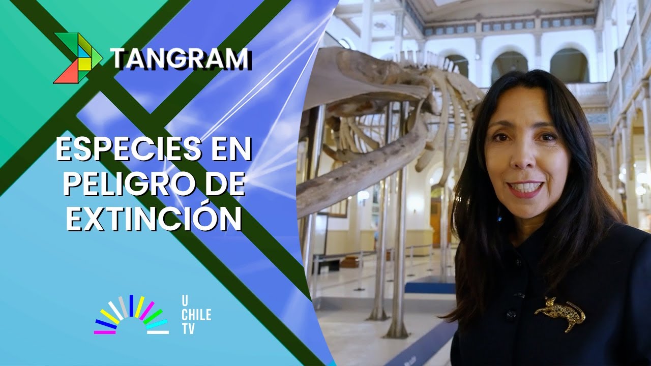 Tangram T02C04 - Especies en peligro de extincion