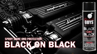 Lamborghini Engine Detail - Chemical Guys Black on Black