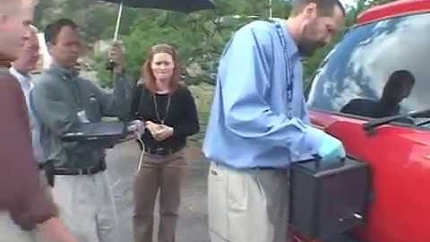 Scientists train honeybees to detect explosives