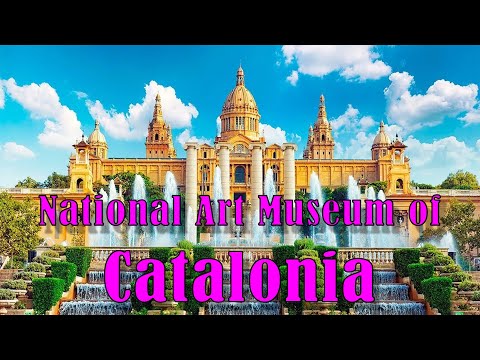 Exploring the Museu