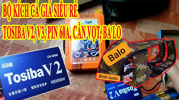 Bộ kích cá giá rẻ tosiba v2, v3, pin, cần vọt, balo