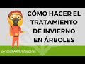 Cmo hacer el tratamiento de invierno en rboles frutales y ornamentales