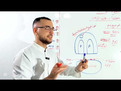 الترجمة الشفرة الوراثية مفصلة الجزء 3 3