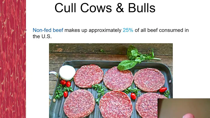 Feeding Cull Cows; Exploring the opportunity for a...
