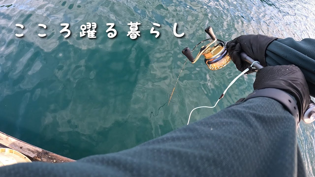 水深30mから謎の巨大魚が上がって来た！！[こころ踊る暮らし]