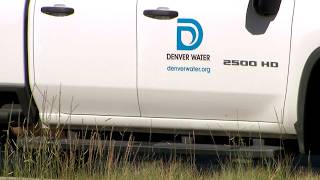 Tips for how to keep your yards healthy after Denver watering cutoff