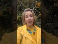 #Helloyellow 💛#RhodesToChangeCoaching #Coaching #MentalHealthAwareness #ItsOkayToNotBeOkay