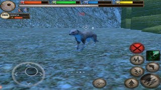 🐭Furious Mouse VS 🦡Angry Weasel and 🦊Fox Boss Fight, Ultimate Farm Simulator screenshot 5