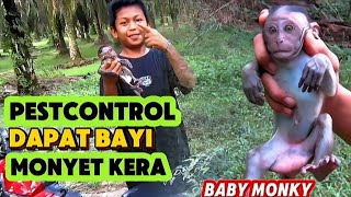 HUNTING, GETTING BABY MONKEYS, BABY MONKY