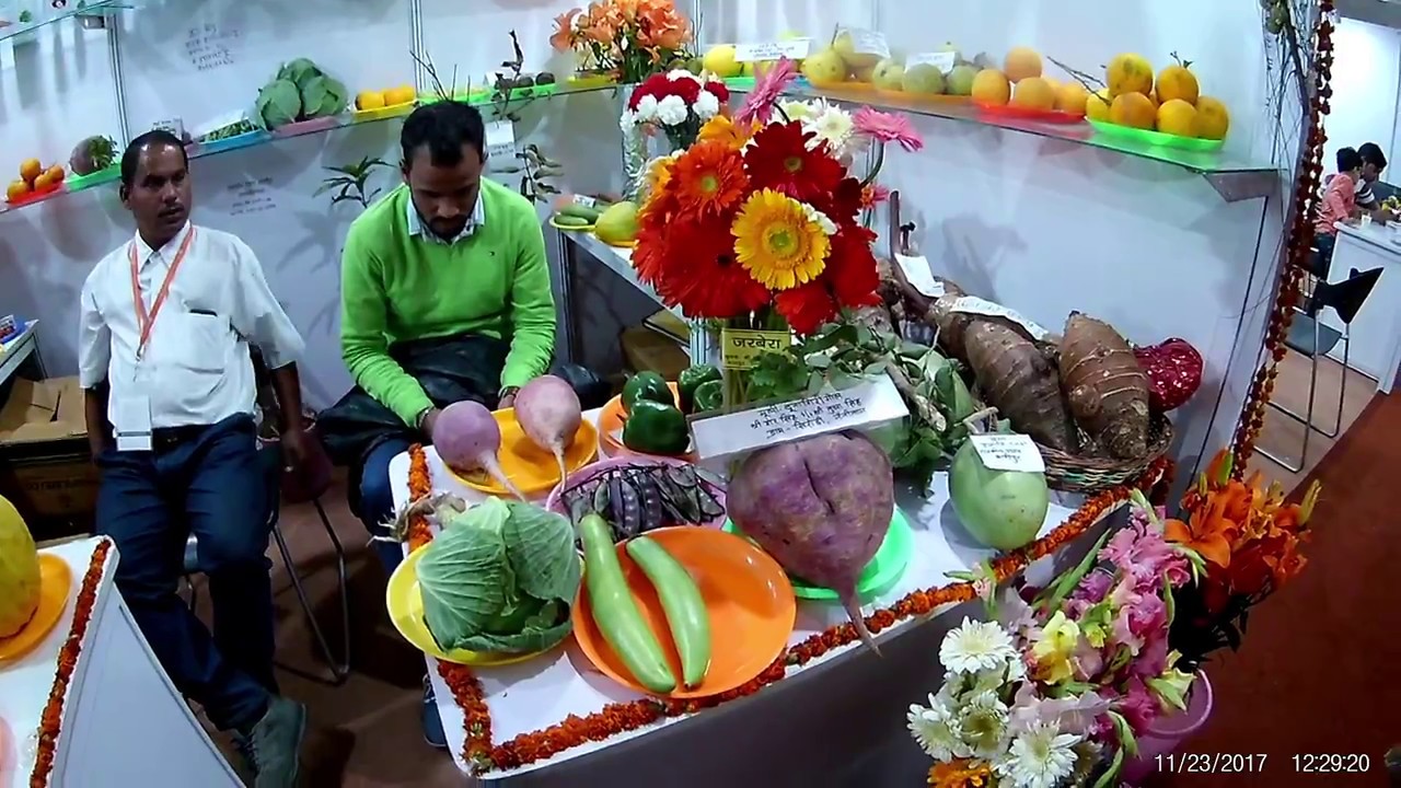 Indian International Trade Fair 2017 Pragati Maidan New Delhi's Famous Exhibition  IITF 2017