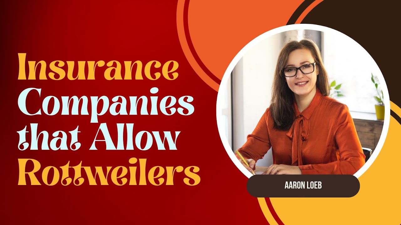 Home Insurance Companies that Allow Rottweilers YouTube