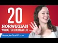 20 Norwegian Words for Everyday Life - Basic Vocabulary #1