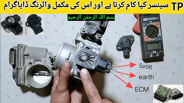 How to test throttle position sensor (TPS) without a wiring diagram | TP sensor working animation |