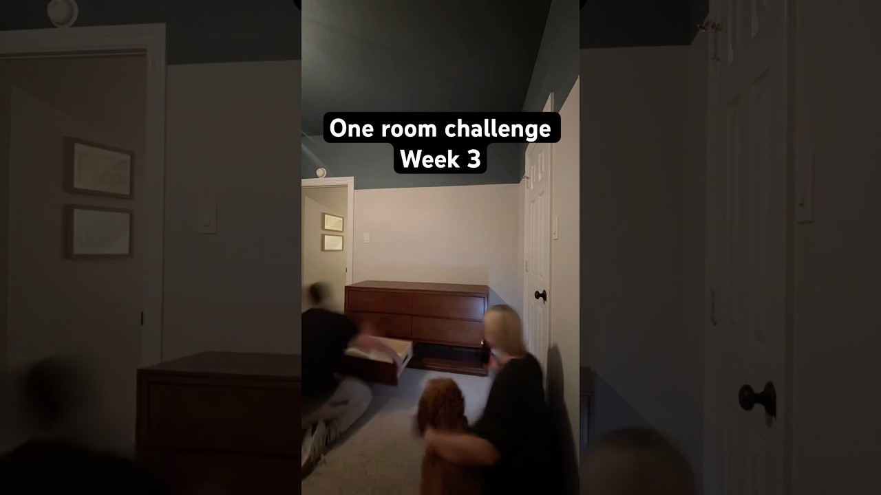 #oneroomchallenge #hernest #kidsroommakeover #roommakeover #interiordesign #homedecor #kidsroom