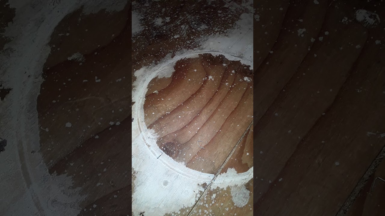 Fastest way I've EVER found to remove carpet pad staples!