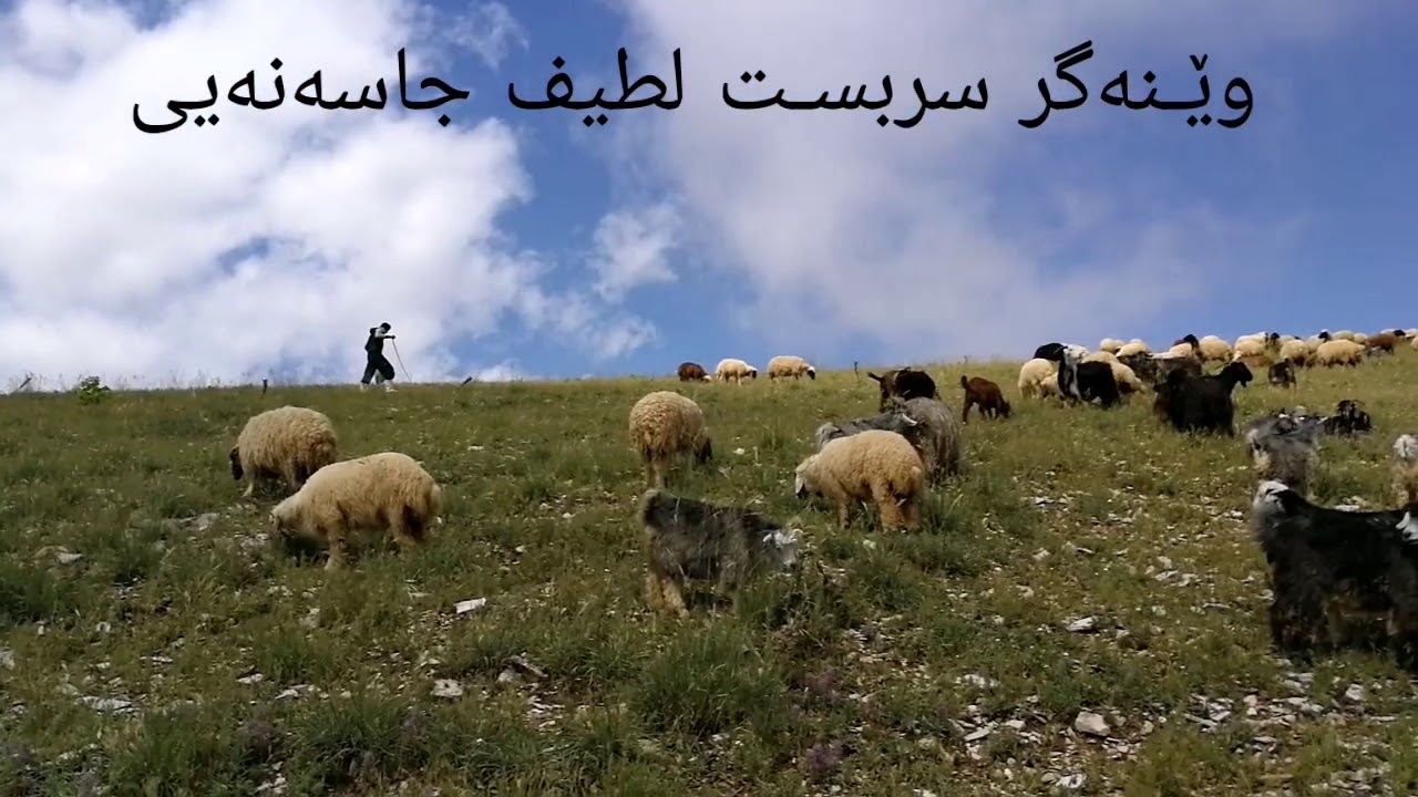 سروشتە جوانەکەی کوردوستان حەیران بێژ محمد چنارنەیی