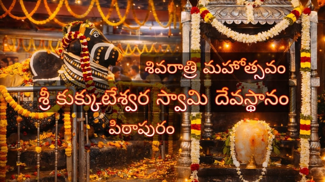 శివరాత్రి మహోత్సవం పిఠాపురం | Sri Kukuteswara swami Temple padagaya #sivaratri #harharmahadev #shiv 