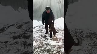 Прогулка С Утра