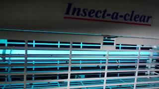 1000s of cluster flies in our attic. 'Insect-a-clear' working hard. Flies Everywhere In Attic