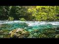 Soothing River ASMR 🌊 Pure Water Sounds – No Rain No Music for Deep Sleep &amp; Relaxation