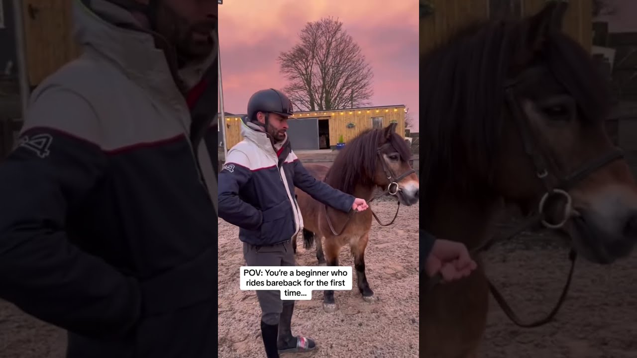 Well That Was Chaotic Horse Equestrianjourney Equestrian Horsegirl Comedy Throwback