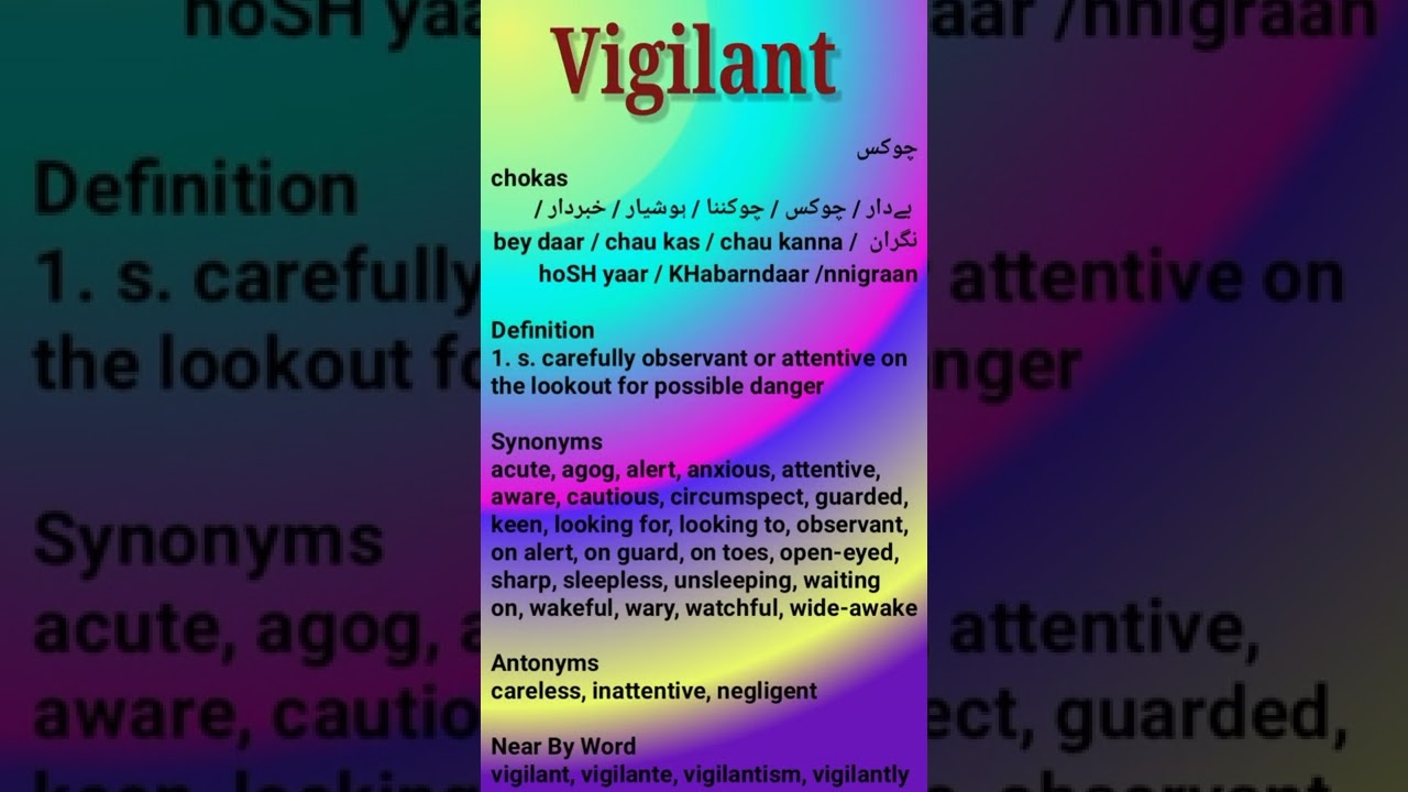 Vigilant Word Adjective Explaination Definition Pronounce American And British Accent