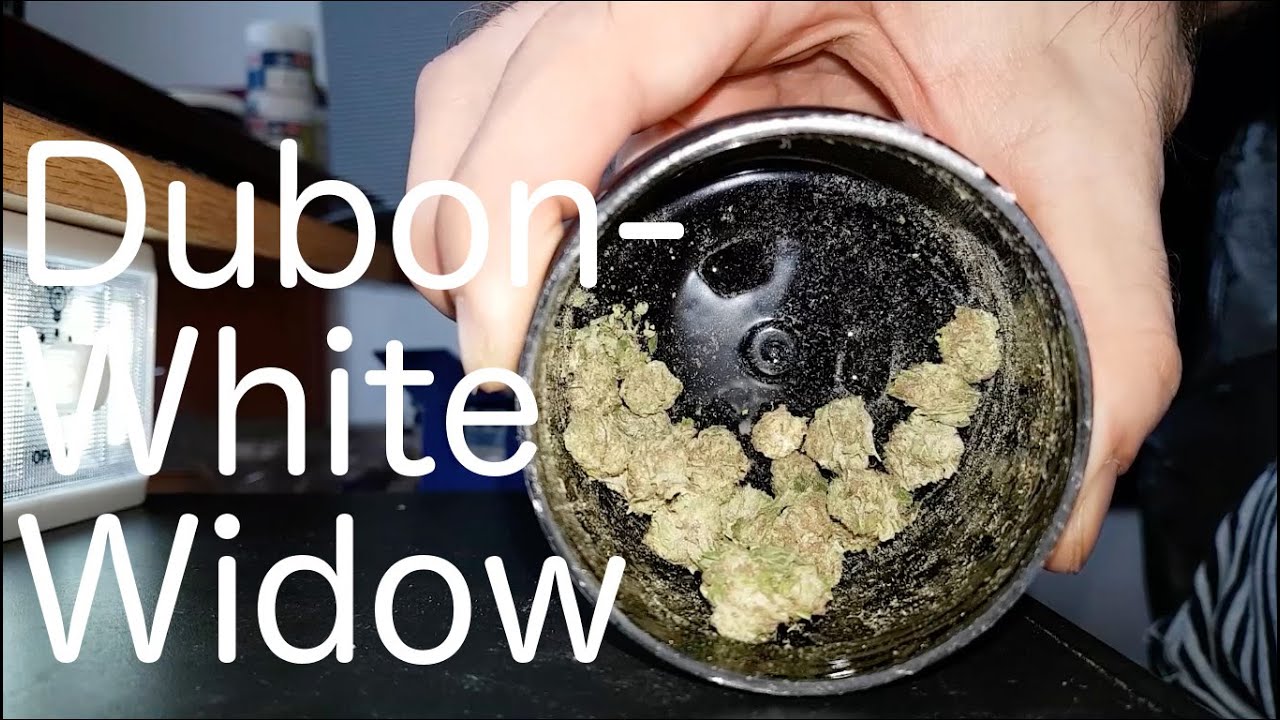 SQDC - High Park Farms - Dubon - White Widow