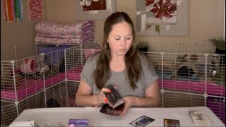 Pisces- Leaving the BAD in the PAST! Finding emotional fulfillment / satisfaction ON YOUR OWN!! by Sweet Soul Tarot | Pisces Channel |  5,941 views 11 days ago 31 minutes