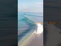 Gentle Wave Line #relaxing #ambient #visualpoetry #naturesounds  #cinematography #lulllab9