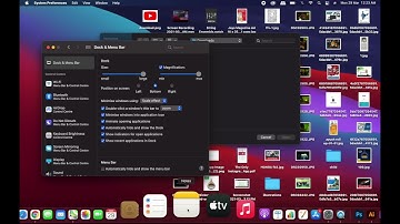 Customizing the Dock: You