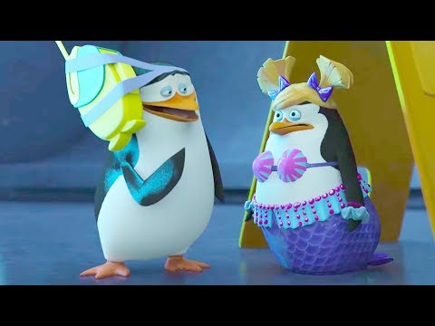 DreamWorks Madagascar En Español Latino Operación Flash Pingüinos De Madagascar Dibujos Animados