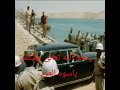 اسود اسود العرب اسود اسود العرب
