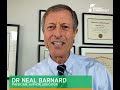 Vegan summerfest  dr neal barnard