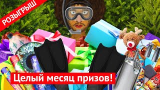 РОЗЫГРЫШ ПОДАРКОВ! Большая новогодняя распаковка. Что подарили подписчики?