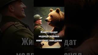 Войтек - Польский Медведь, Воевавший С Нацистами