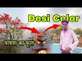झारखंड की खूबसूरती पलाश का फूल || Make Desi Colors || Arun Kumar Vlog