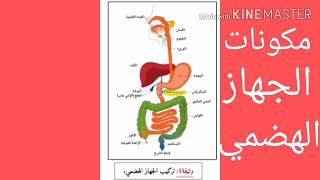 مكونات الجهاز الهضمي..السنة الرابعة متوسط..قناة جنة العلوم